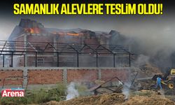 Samsun’da samanlık alevlere teslim oldu!