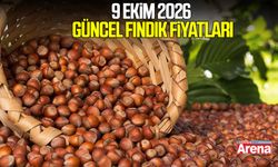 9 Ekim 2026 güncel fındık fiyatları
