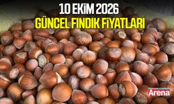 10 Ekim 2026 güncel fındık fiyatları