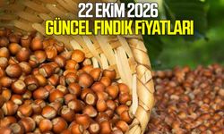 22 Ekim 2026 Güncel fındık fiyatları