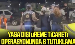 Yasa dışı üreme ticareti operasyonunda 8 tutuklama