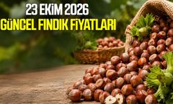 23 Ekim 2026 güncel fındık fiyatları