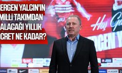 Sergen Yalcın'ın Milli Takımdan alacağı yıllık ücret ne kadar?
