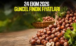 24 Ekim 2026 güncel fındık fiyatları