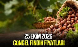 25 Ekim 2026 Güncel fındık fiyatları