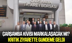 Çarşamba ekonomisi için güç birliği! Fındık ve kivi masada