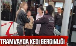 Samsun'da tramvayda kedi gerginliği