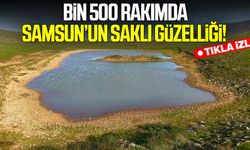 Bin 500 rakımda Samsun'un saklı güzelliği!