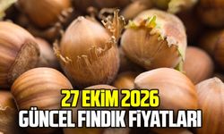 27 Ekim 2026 Güncel fındık fiyatları