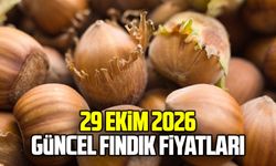 29 Ekim 2026 güncel fındık fiyatları