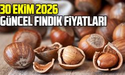 30 Ekim 2026 Güncel fındık fiyatları