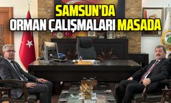 Vali Tavlı, Samsun’daki orman çalışmalarını değerlendirdi