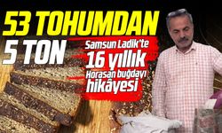 Emekli öğretmenden geleneksel buğday üretimi