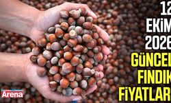 12 Ekim 2026 güncel fındık fiyatları