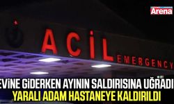 Evine giderken ayı saldırısına uğradı!
