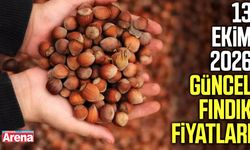 13 Ekim 2026 güncel fındık fiyatları