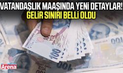 Vatandaşlık maaşında yeni detaylar belli oldu!