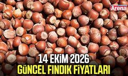 14 Ekim 2026 güncel fındık fiyatları