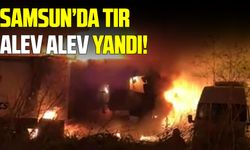 Samsun’da park halindeki tır alevlere teslim oldu