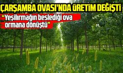 Samsun’un verimli ovasında üretim değişti