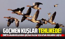 Samsun’dan dünyaya göçmen kuşları koruma çağrısı