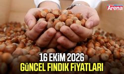 16 Ekim 2026 güncel fındık fiyatları
