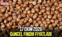 17 Ekim 2026 güncel fındık fiyatları