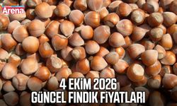4 Ekim 2026 güncel fındık fiyatları