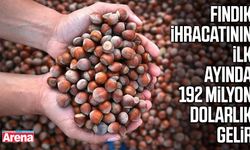 Fındık ihracatının ilk ayında 192 milyon dolarlık gelir