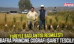 Bafra pirinci coğrafi işaretle tescillendi