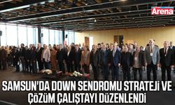 Samsun'da Down Sendromu Strateji ve Çözüm Çalıştayı düzenlendi