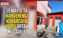 19 Mayıs’ta kahverengi kokarcaya karşı ortak mücadele