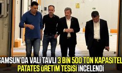Samsun’da 3 bin 500 ton kapasiteli patates tesisi