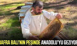 İstanbul'dan Samsun'a uzanan bal yolculuğu