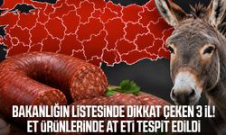 Vatandaşa at ve eşek eti yedirdiler! İşte 3 ildeki firmalar