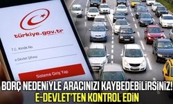 e-Devlet’te kritik detay! Aracınız otoparka çekilebilir