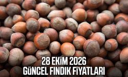 28 Ekim 2026 güncel fındık fiyatları