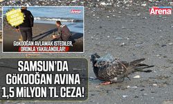 Samsun’da gökdoğan avına 1,5 milyon TL ceza!