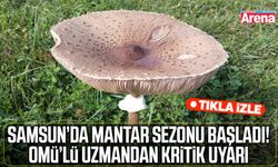 OMÜ’lü uzmandan mantar uyarısı: Doğadan toplayıp tüketmeyin!