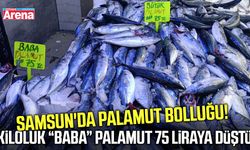 Samsun'da kiloluk baba palamut 75 liraya düştü!
