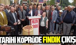 Çarşamba'da tarihi köprüde fındık açıklaması