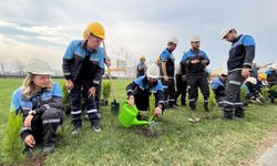 Eti Bakır iklim ve doğa raporunu yayımladı