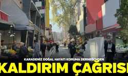 Karadeniz Doğal Hayatı Koruma Derneği'nden kaldırım çağrısı