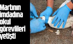 Samsun'da martının imdadına okul görevlileri yetişti