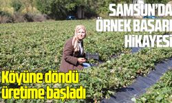 Peyzaj mimarı Samsun'da çilek üreticisi oldu