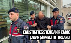 Samsun'da çalıştığı tesisten bakır kablo çalan şüpheli tutuklandı
