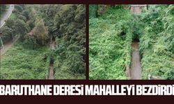 Samsun’da mahalleliyi bezdiren koku: Penceremizi bile açamıyoruz