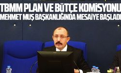 TBMM Plan ve Bütçe Komisyonu Mehmet Muş başkanlığında mesaiye başladı