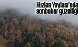 Kızlan Yaylası'nda sonbahar güzelliği