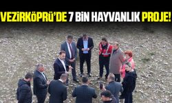 Vezirköprü’ye 7 bin büyükbaş hayvan kapasiteli besi bölgesi
